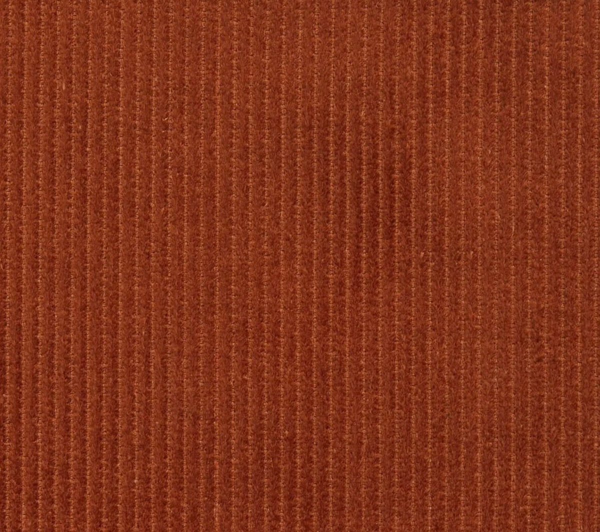 GENT ROW Cotton Pile Velvet Jeans in Rust Orange