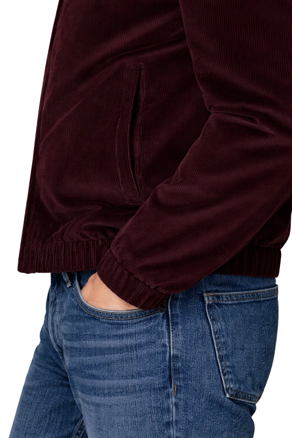 Fine Cotton Velour Corduroy Bomber Jacket in Burgundy